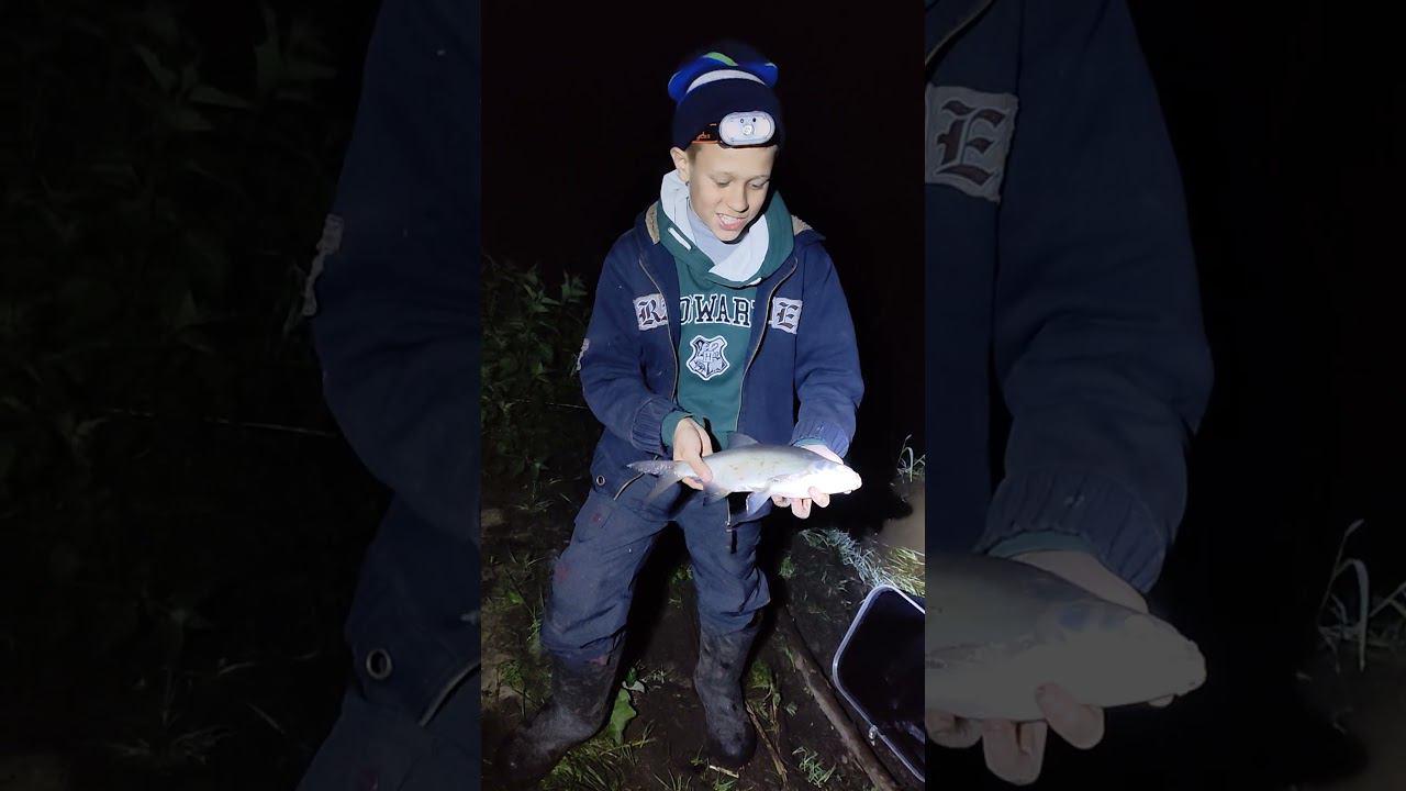 Кайф ночной рыбалки #рыбалка #fishing #ловлялеща #ночная #фидернаярыбалка #viral #top #fish #рек смотреть онлайн