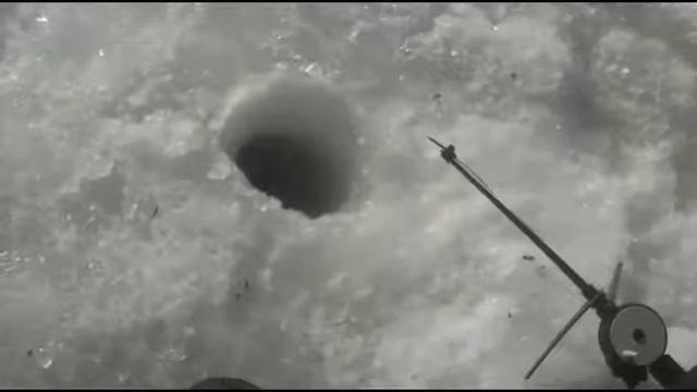 Ловля плотвы и бирюка на реке дон, Липецкая область 26 02 2017 смотреть онлайн