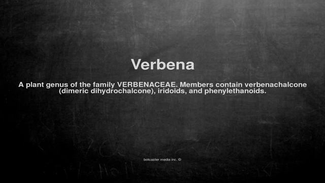 Medical vocabulary: What does Verbena mean смотреть онлайн