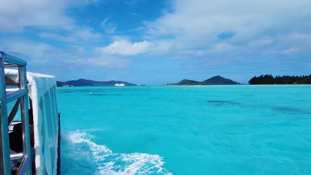 What Will It Cost You To Live FULL-TIME On A Cruise Ship? смотреть онлайн