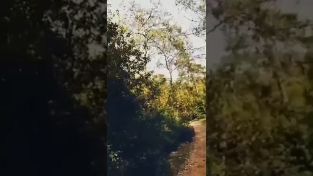 Мармарис - Marmaris,  обзор мест, которые туристы не знают.  Пещере Нимара #nimara более 12 000 лет