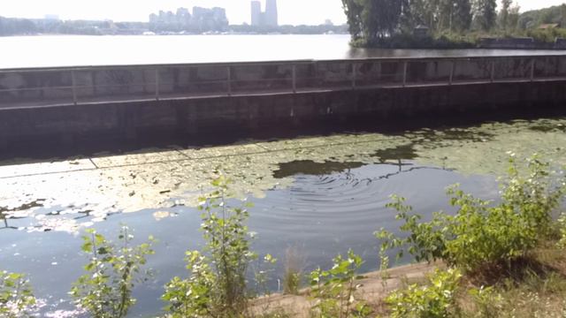Строительство Нового парка вдоль канала Южное Тушино. 16.07.2024 смотреть онлайн