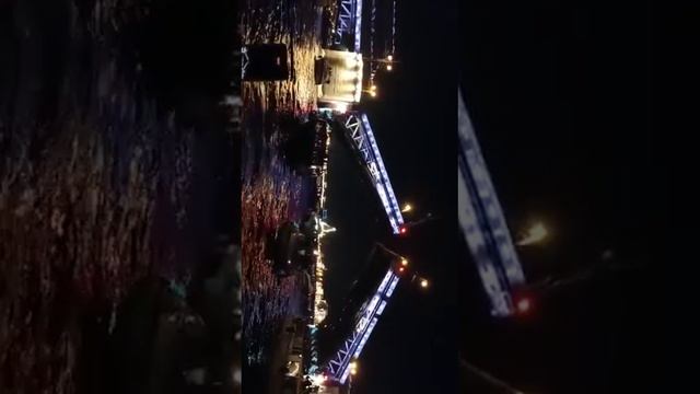 ночная экскурсия на разведение мостов смотреть онлайн