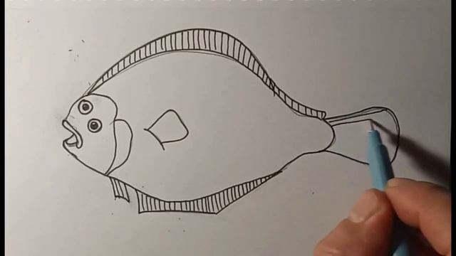 Как нарисовать камбалу смотреть онлайн