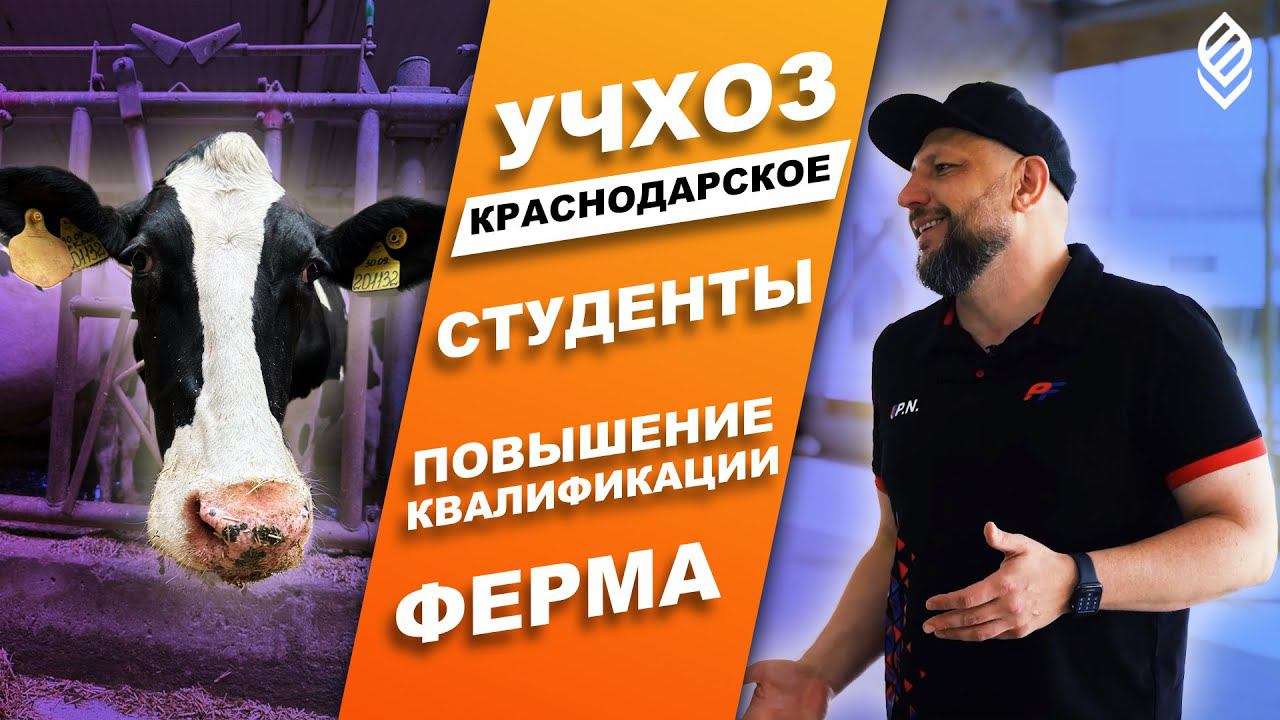 Учхоз Краснодарское | Как всё устроено?