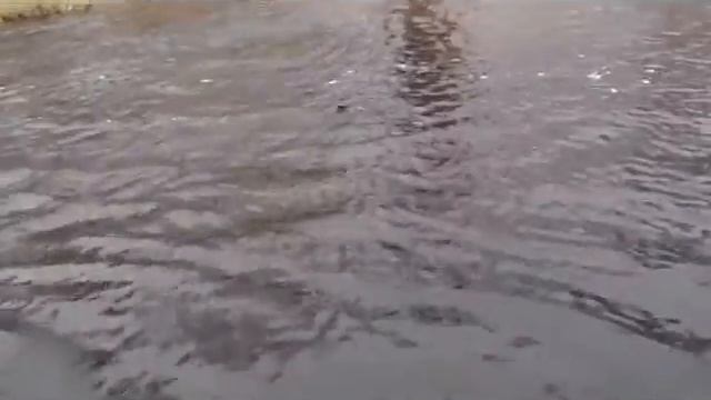 Семга На Солзе у плотины смотреть онлайн