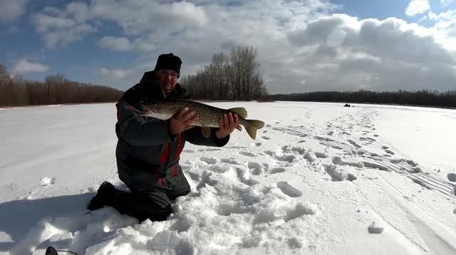 Рыбалка со льда в начале весны. Щука на жерлицы. смотреть онлайн