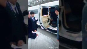 цыганская свадьба 20222 маёр и милана