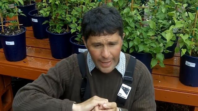 Tips From The English Gentleman смотреть онлайн