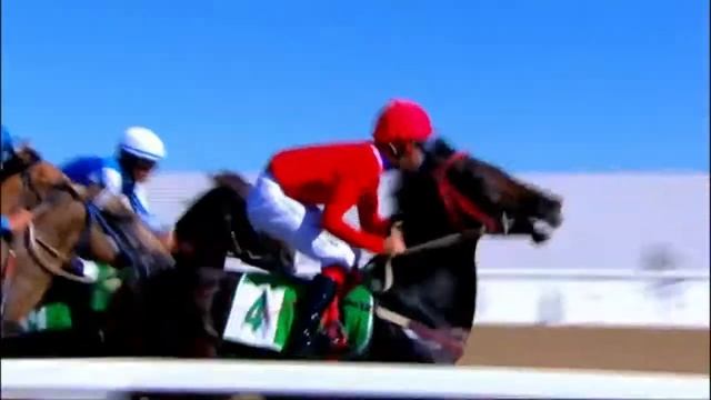 В Туркменистане отмечают Национальный праздник "Небесных скакунов" смотреть онлайн