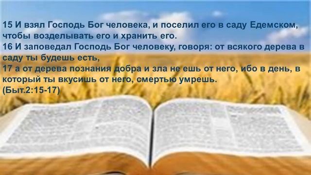 БЫТИЕ 2гл 15 17ст Дерево познания добра и зла смотреть онлайн