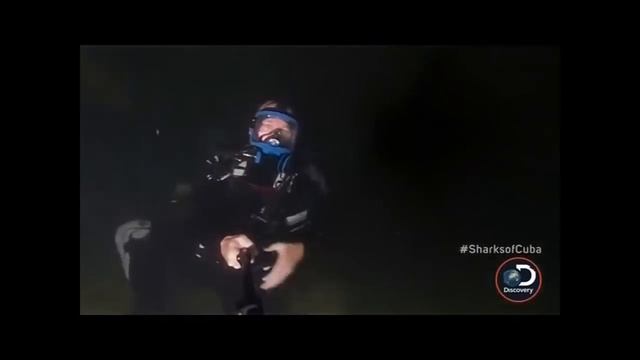 Хладнокровие помогло биологу вырваться из пасти трехметрового крокодила смотреть онлайн