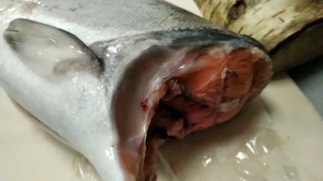 Видеообзор рыбы чавыча из магазина Хариус Хаус смотреть онлайн