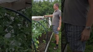 Парник из ПНД на высокой грядки! Своими руками.