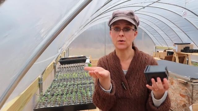 4 Reasons All My Seedlings Died смотреть онлайн