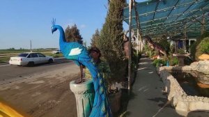 скульптура павлин из арт бетона своими руками ??