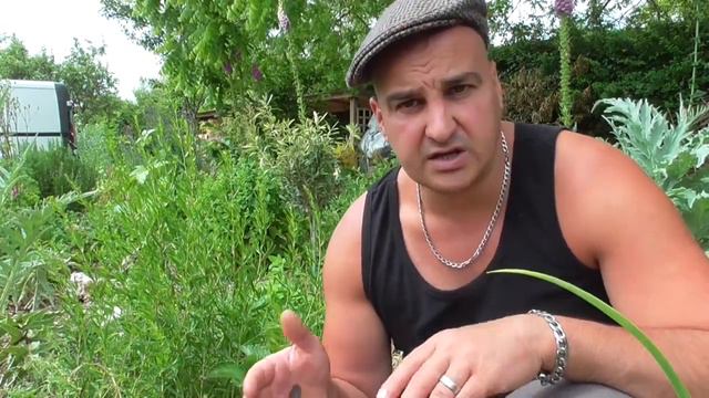 Growing Tarragon - Uses and Health Benefits смотреть онлайн