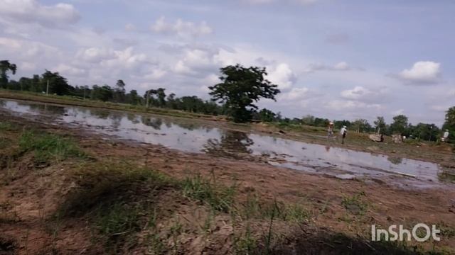 เจอแบบนี้อึ้งไปพักใหญ่!!ส่อนฮวกลูกอ๊อดลูกกบพี่น้อง มาๆเด้อพี่น้องเอ๋ยบ่าวกบพาม่วนชวนเก็บเห็ด!! смотреть онлайн