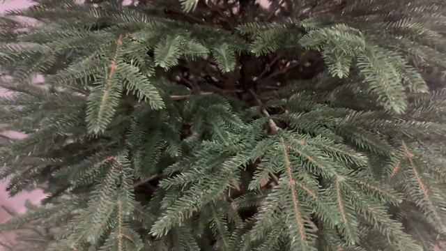 Видеообзор искусственной ёлки «Альпийская» смотреть онлайн