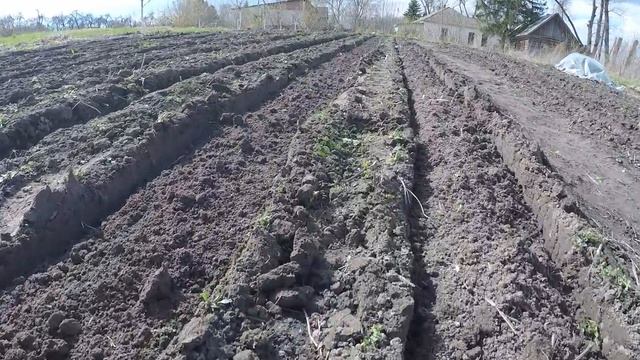 Культивации целины / ЛопЛош / Разработка грядок смотреть онлайн