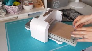 Обзор машинки для вырубки и тиснения | Spellbinders  Platinum 6 | Год эксплуатации