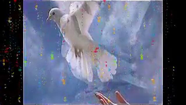 ГОЛУБИ - Влад НЕЖНЫЙ смотреть онлайн