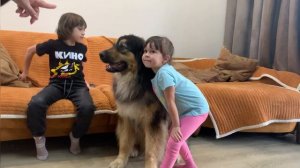 008_Монгольские Банхары и дети