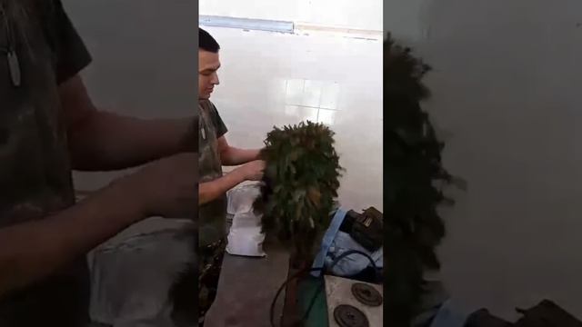 Зонтик заказывали? смотреть онлайн