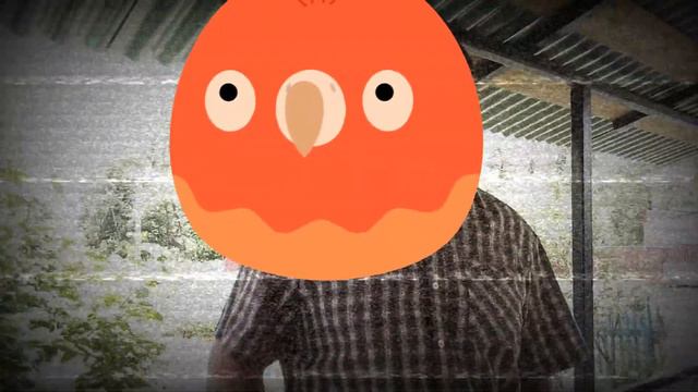 поздравление от The Outside Doors с днём Свадьбы Лыковых (14.07.2017) смотреть онлайн