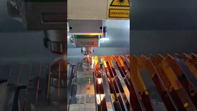 ТЕХНИЧЕСКОЕ ОБСЛУЖИВАНИЕ БЛОКА РЕЗКИ RAYTOOLS BM111 #camping #machine #станки #cnc #laser #станок смотреть онлайн