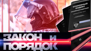 8.11.22. Закон и порядок / Владелец ручных дельфинов выкинул их в открытое море.