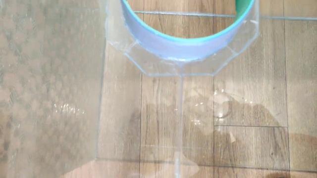 Бокс который поможет в разведение орхидей в домашних условиях смотреть онлайн