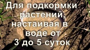 Навоз: коровий, конский, свиной, птичий, кроличий, овечий. Полезные свойства, степень разложения.