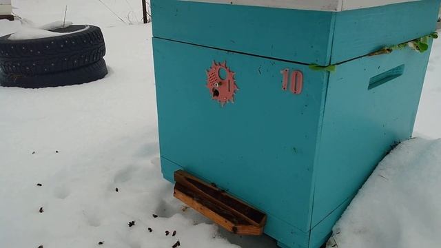 Потепление(будь оно не ладно) смотреть онлайн