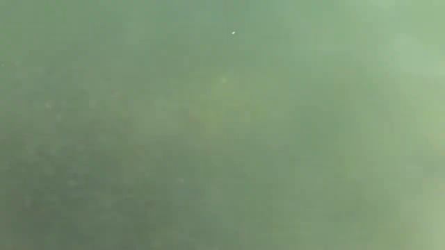 Река Дальян, турецкая Венеция, черепахи, яхты и красивая природа. Плывём и наслаждаемся смотреть онлайн