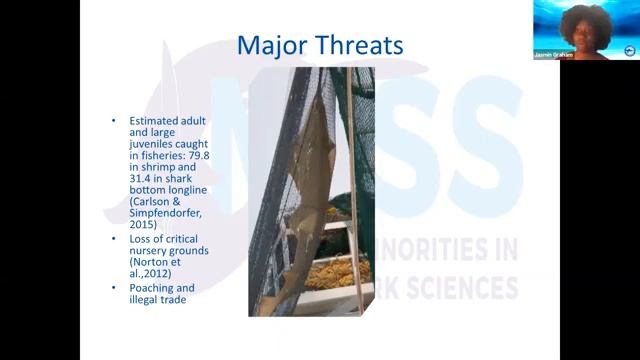 HMSC Research Seminar Nov 5, 2020 смотреть онлайн