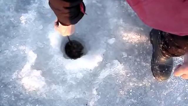 Онего. Зимний налим на джиг. смотреть онлайн