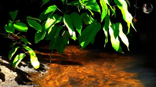 The Best Of Classical Music  - 100 Most Famous Classical Piano Pieces - Classical For Relaxation