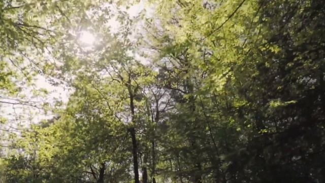 Природа для души. Relax. Расслабься  Beautiful Relaxing Music