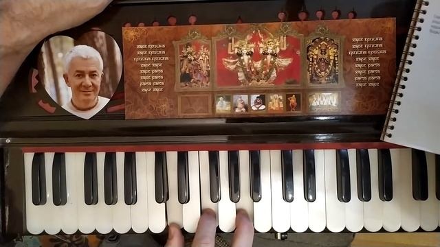 урок бхаджан ДЖАЯ РАДХА МАДХАВА как его играет Индрадьюмна свами смотреть онлайн
