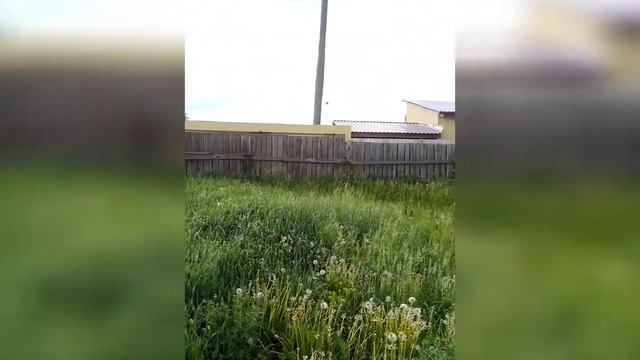 дача Красноярск продам смотреть онлайн