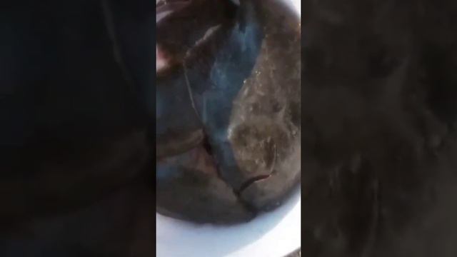 улов . смотреть онлайн