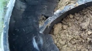 Как сделать ступеньки  | Новый способ |  из старых покрышек на даче?