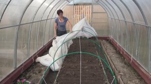 6 соток 20 апреля 2023 года. Хроника. Посеяла сальвию, капусту