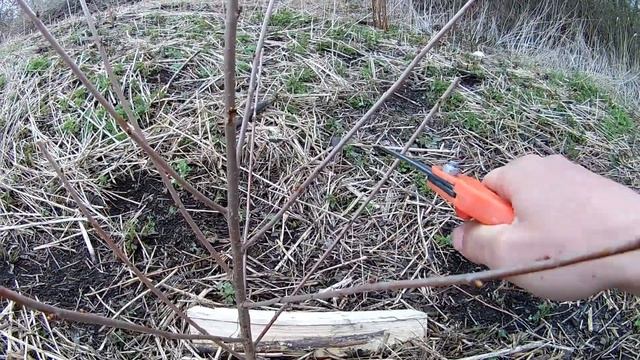 Йога и Медитация