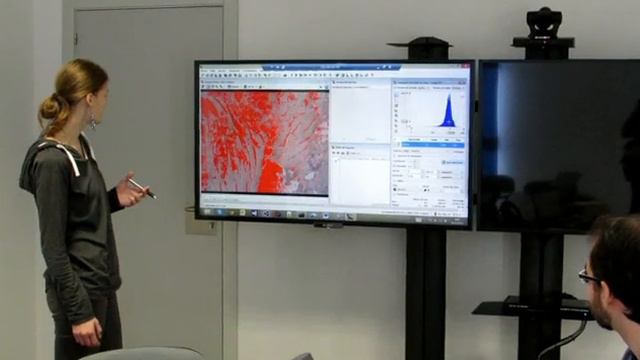 MACSYS project – Quality of poultry MSM смотреть онлайн