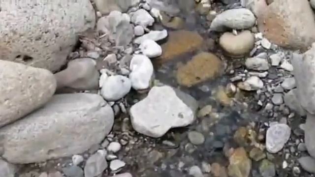 Столкновение подростка с новой средой обитания. смотреть онлайн