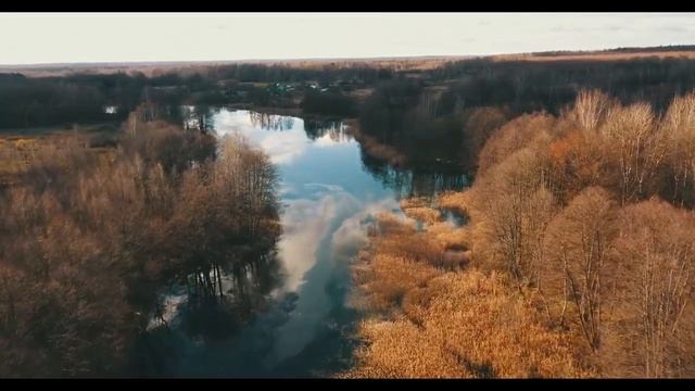 д.Даниловичи,Смоленская область смотреть онлайн