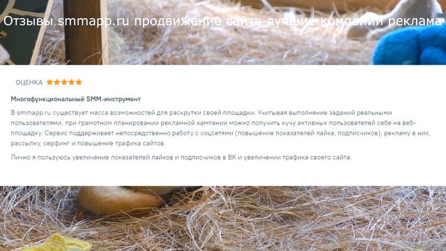 Отзывы smmapp.ru продвижение сайта лучшие компании реклама смотреть онлайн