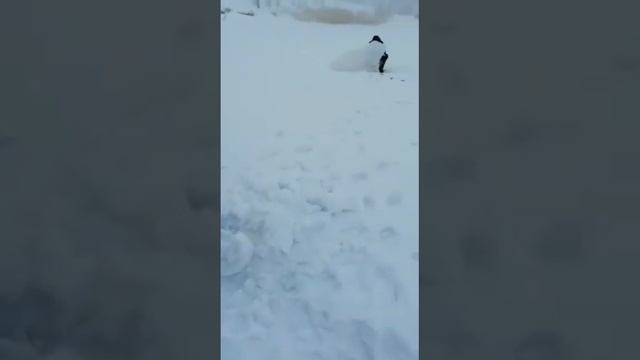 Выезд на зимнюю рыбалку на кенгирское водохранилище смотреть онлайн